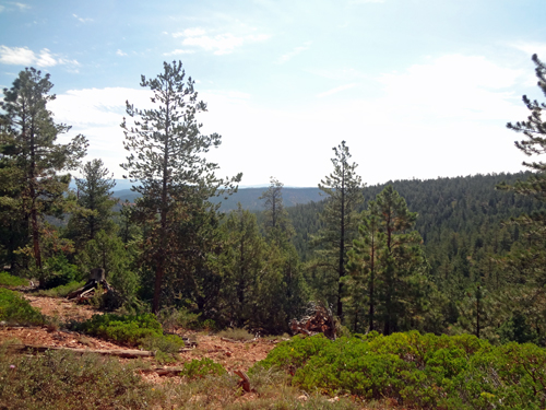 scenery while on the ATV Ride